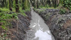 Atasi Banjir, Pemkab Asahan Normalisasi Saluran Air