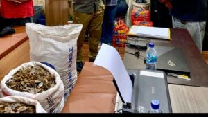 150 Kg Sisik Trenggiling Diamankan, Kabid Humas: 600 Ekor Trenggiling Dibunuh Untuk Dijual Sisiknya