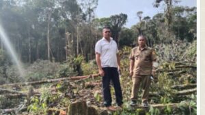 Penyelidikan Permasalahan Perambahan Hutan Lae Pondom Ditingkatkan ke Tahap Penyidikan