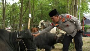 Kapolda Sumut : Idul Adha 1443 H,  Momentum Memperkuat Persaudaraan