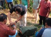 998 Pelaku Narkoba ditangkap, Polda Sumut Komitmen berantas Narkotika