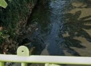 Air Lindi Sampah TPA Cemari Sungai, Hendri : DLH Kota Bekasi Abaikan Hak Asasi Manusia Sepanjang Aliran Kali Asem Hingga CBL