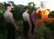 Kepolisian Kembali Ratakan Gubuk Narkoba dan Judi di Sibolangit