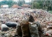 Kabupaten Bekasi Darurat Sampah