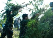 KEPALA BNN RI PIMPIN PEMUSNAHAN LAHAN GANJA DI ACEH UTARA