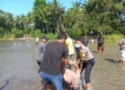 Korban Yang Hanyut di Sungai Buaya, Adrian Saragih Sudah Ditemukan Dalam Keadaan Tidak Bernyawa