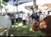 Polda Sumut Salurkan Ribuan Paket Daging Kurban untuk Masyarakat di Hari Raya Iduladha 1446 H