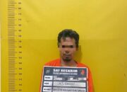 Respons Cepat Polres Labusel, Pelaku Pembunuhan Penjaga Kebun Sawit Di Desa Binanga Dua Ditangkap