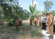 Bupati Dampingi Plt Dirjen Perkebunan Kementan RI Tinjau Lokasi Cetak Sawah di Desa Silo Bonto