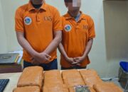 Sat Narkoba Polres Pelabuhan Belawan Gagalkan Peredaran 13 Kg Ganja, 2 Bandar Ditangkap