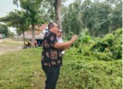 Perkuat Kolaborasi Pembangunan Berkelanjutan, Pemkab Asahan Teken MoU dengan UGM