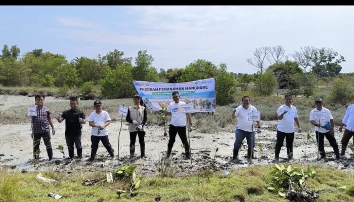 Pelindo Regional 1 Gelar Program TJSL BUMN, Dukung Rehabilitasi Mangrove di Batu Bara