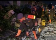 *Brimob Polda Sumut Sigap Evakuasi Pohon Tumbang, Wujud Nyata Kehadiran di Tengah Masyarakat Pematangsiantar*