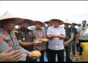 Dorong Swasembada Pangan, Bupati Hadiri Panen Raya Jagung Polres Asahan