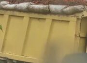 Tampung Sawit Ilegal di Kampung Rakyat, Kapolsek beri Jawab Sama: Akan Tindaklanjuti