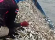 Pelindo Regional 1 Bawa Harapan Baru bagi Nelayan Batu Bara