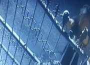 Polsek Medan Labuhan Tangkap Terduga  Pelaku Pencurian di Jalan Kawat 3, Warga Merasa Lega