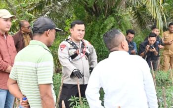 Panggung Sosial Kapolres Labusel: Gencar Tebar Simpati, Kasus Pemerkosaan Masih Sunyi