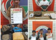 Polres Padang Lawas Ungkap Jaringan Ganja Antar Desa, Bandar dan Pengedar Ditangkap