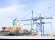 Arus Peti Kemas Sumut Menguat, PT PMT Catat Kenaikan 4 Persen