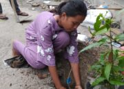 Peringati Hari Pohon Sedunia 2025, AMPHIBI Lakukan Penanaman Pohon Bersama Masyarakat dan Kelompok di Sergei.