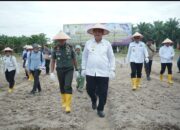 Pemkab Asahan dan Forkopimda Dukung Gerakan Tanam Padi Gogo Kodim 0208