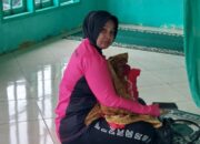 Penuh Haru dan Simpatik, Bhayangkari Cabang Tapsel Menyusui Bayi yang Terpisah dari Ibunya di Posko Longsor Marsada