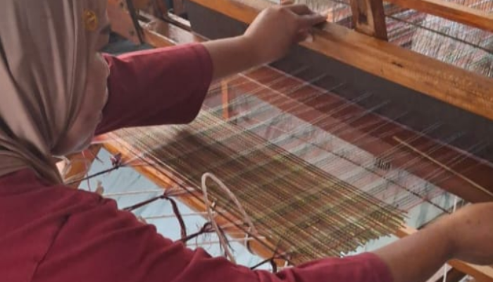 Dari Lidi Sawit Menjadi Harapan: Cerita Pemberdayaan Warga Desa N-7 Aek Nabara