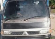 Pendamping Desa Diduga Tahan Mobil BUMDes S-5 Aek Nabara Selama Dua Tahun