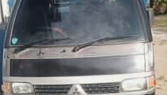 Pendamping Desa Diduga Tahan Mobil BUMDes S-5 Aek Nabara Selama Dua Tahun