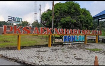 Isu ‘Fee’ dan TBS Mentah Menggema, PT Perkebunan Nusantara IV PKS Aek Nabara Tegas: Tuduhan Tak Berdasar!