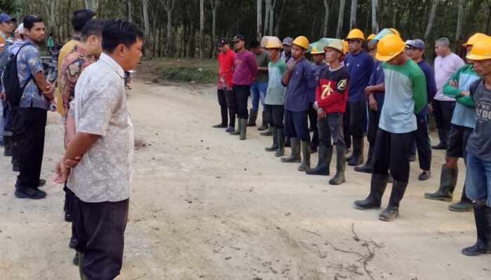 SP-Bun Basis Kanau Gelar Sosialisasi di Afdeling, Bahas Perubahan Regulasi hingga Adaptasi Era Digital