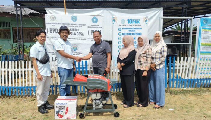 Mesin Pencacah Rumput, Benda Sederhana yang Bisa Jadi Berguna untuk Warga N.5 Aek Nabara